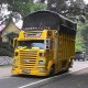 Modifikasi Keren Truk Mitsubishi Colt Diesel 120PS 1994